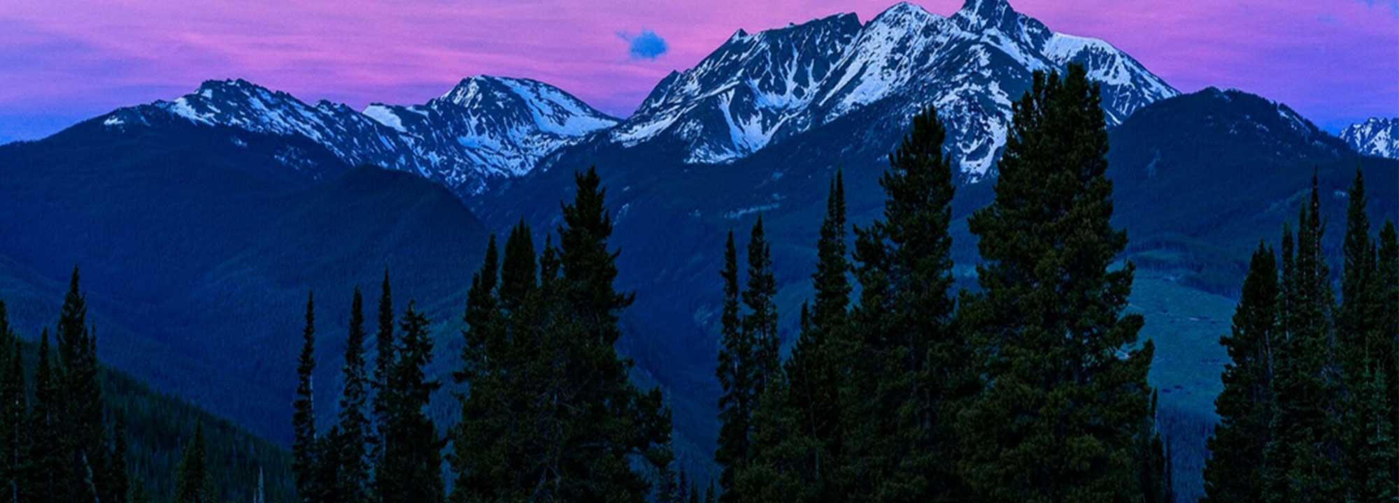 Bannerimage